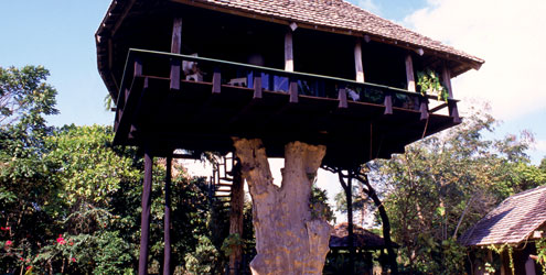 Fotografia da obra — 