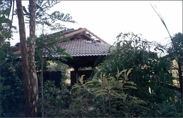 Estrutura em madeira
