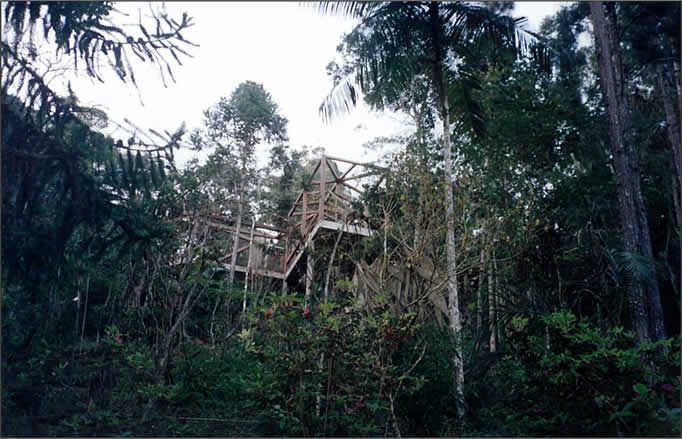 Obra e paisagem