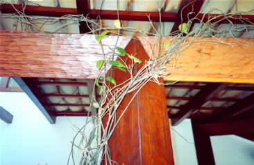 Detalhe construtivo
